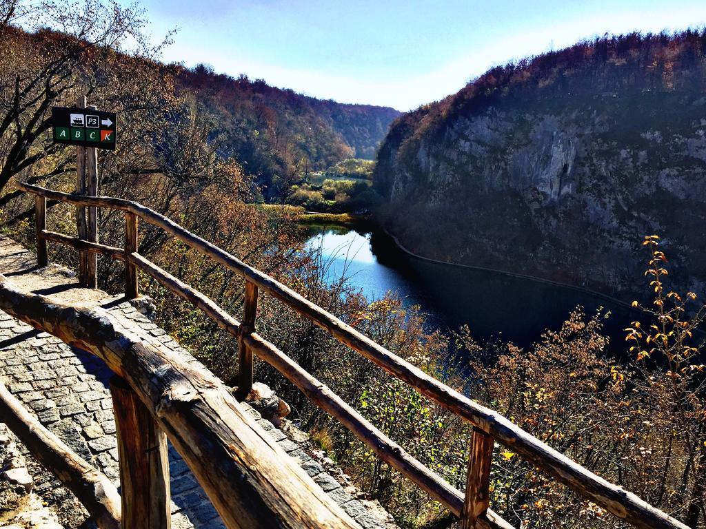 Guesthouse Kovacevic Кореница Экстерьер фото